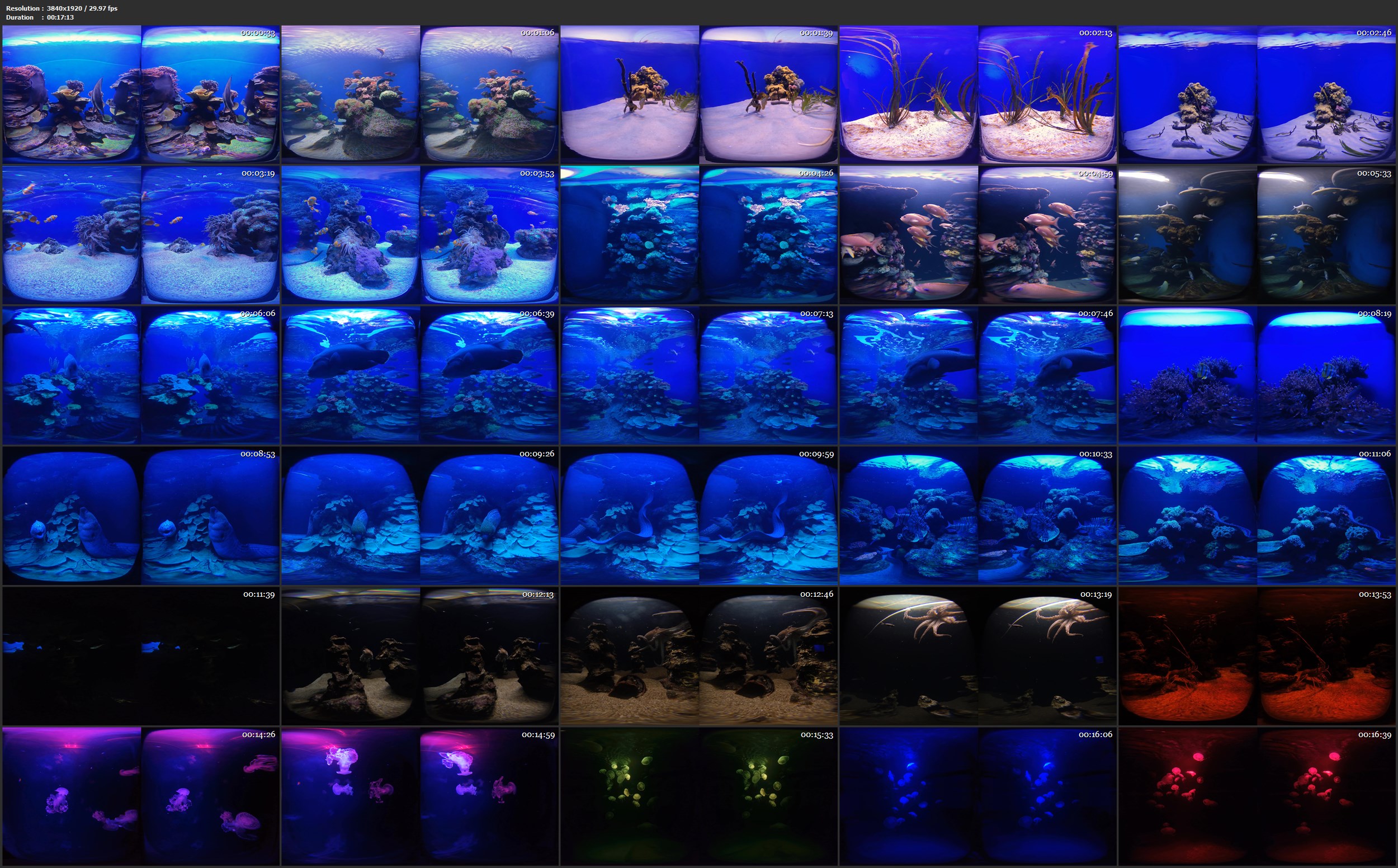 Aquarium Experience 02