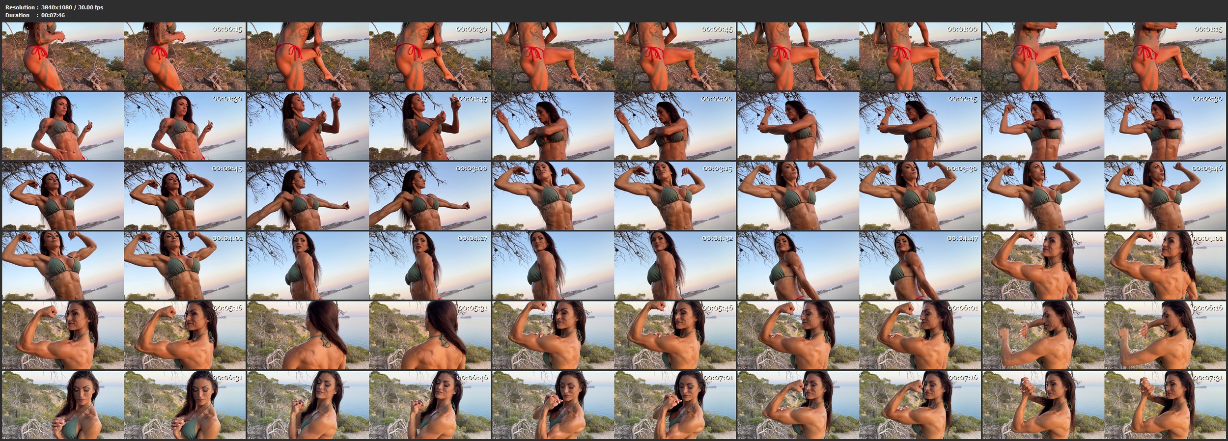 Plamena 3D 01