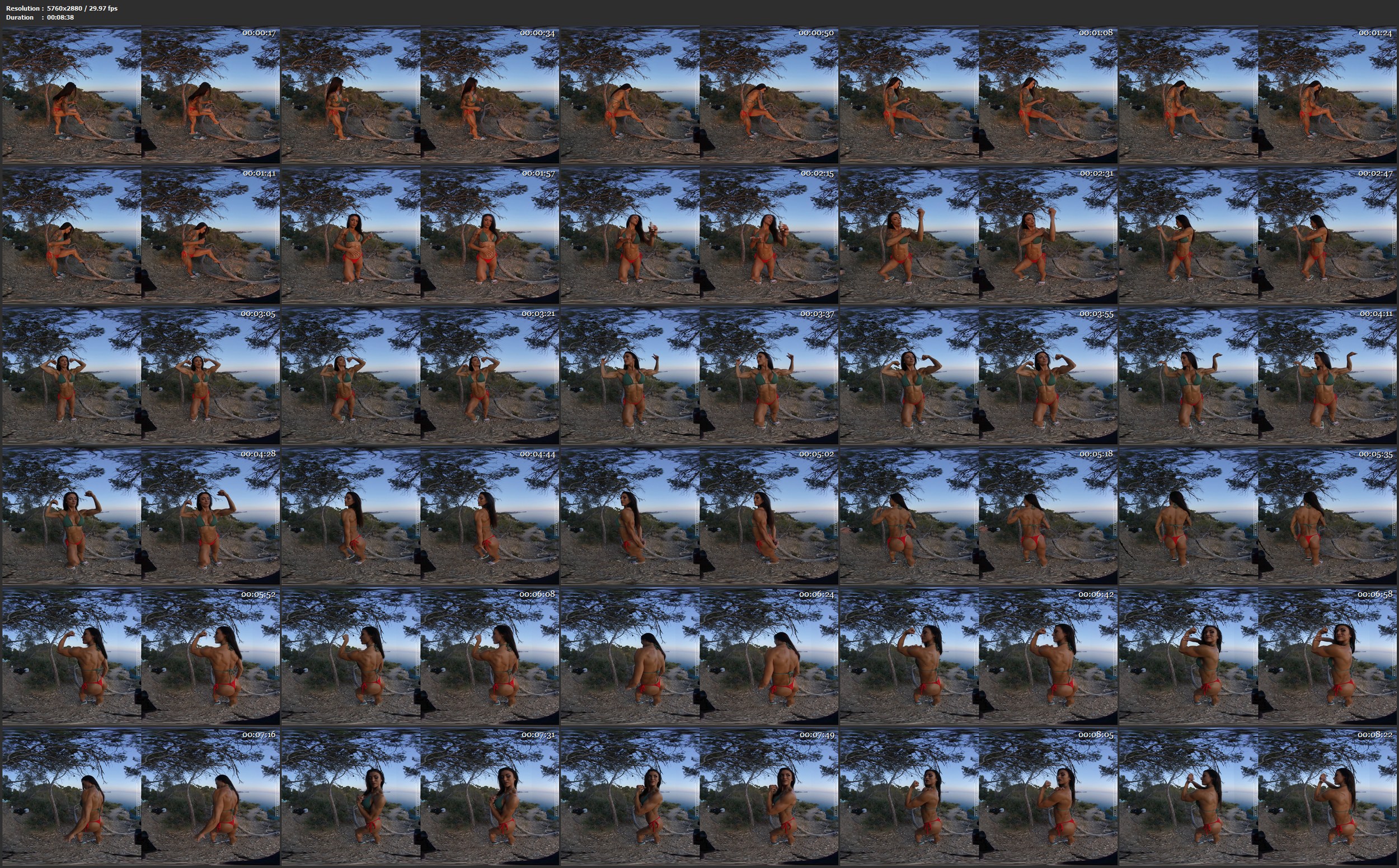 Plamena VR 04