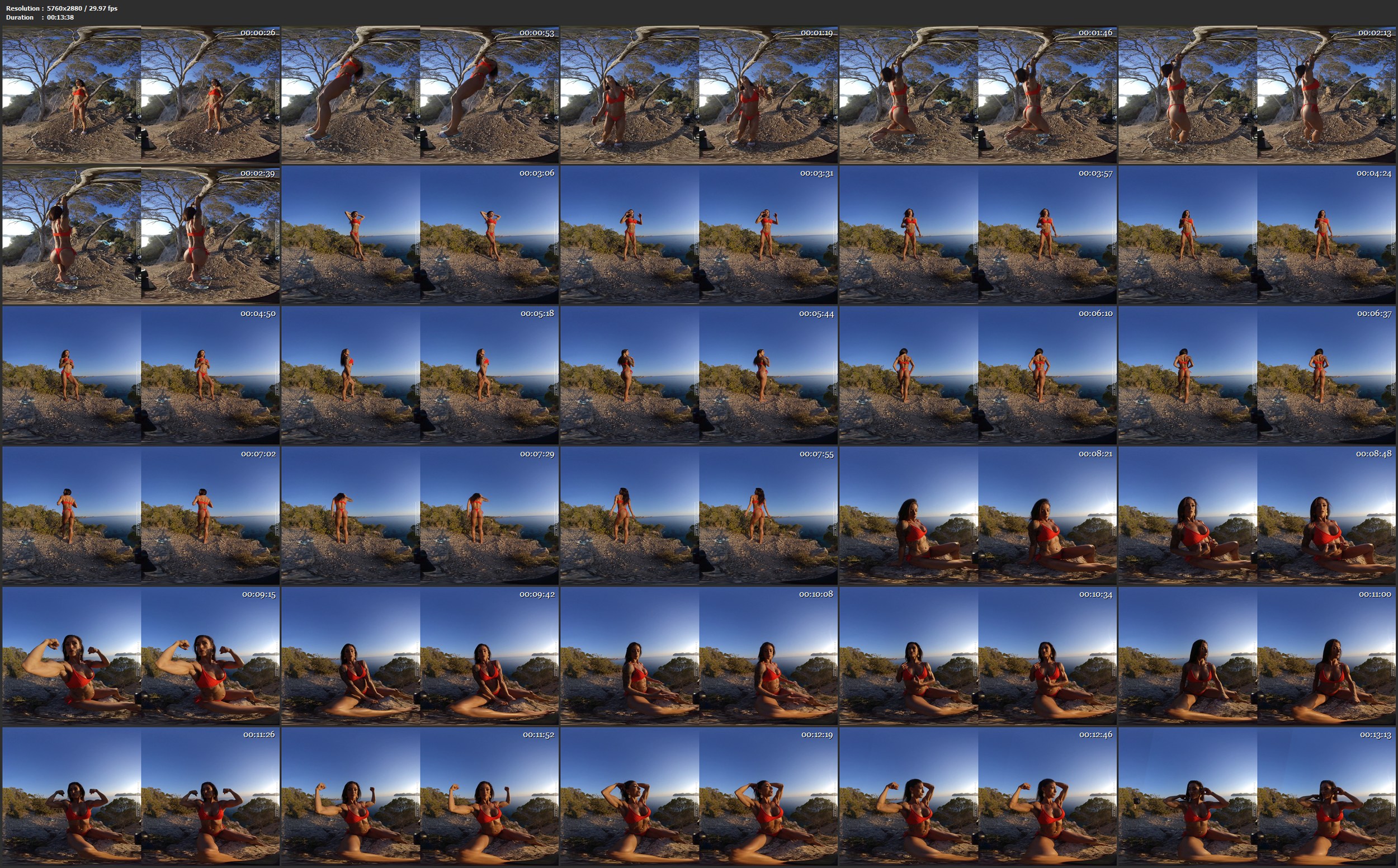 Plamena VR 05