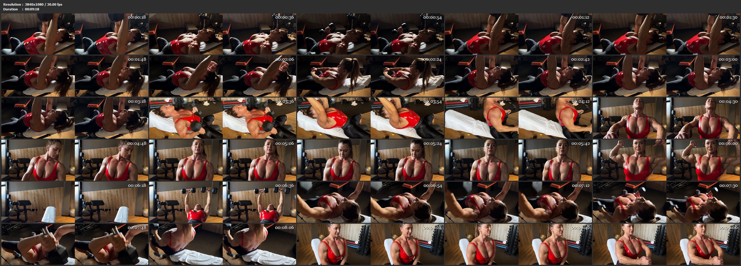 Raluca 2025 Gym 3D 01