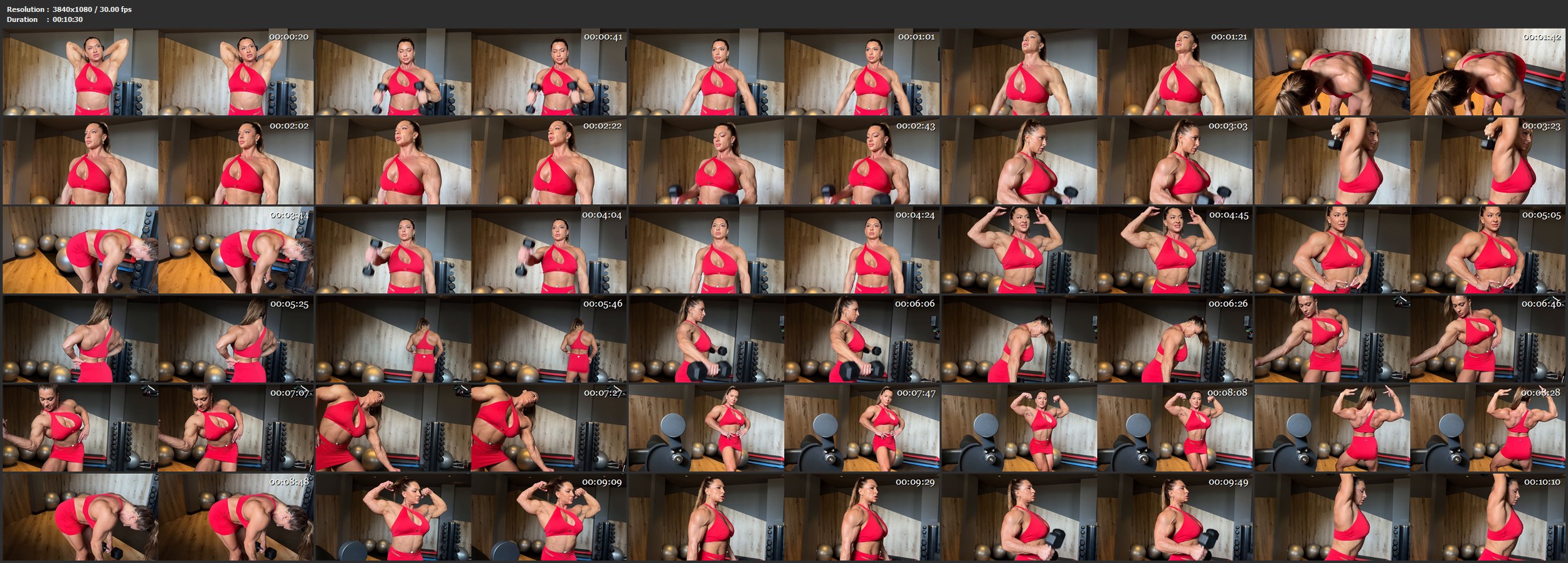 Raluca 2025 Gym 3D 03